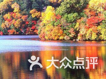 寻找丢失的钱包