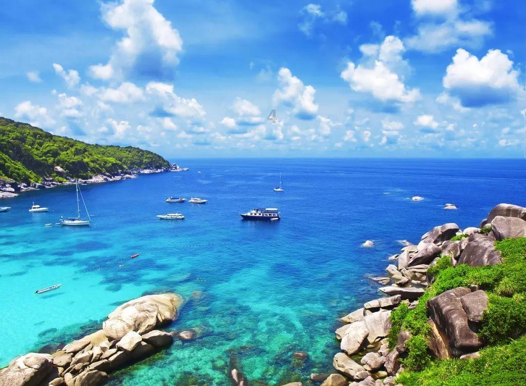牛油果面包