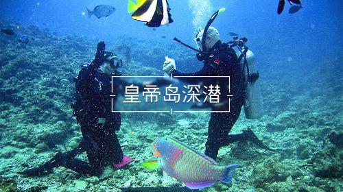 超魔晶猎人
